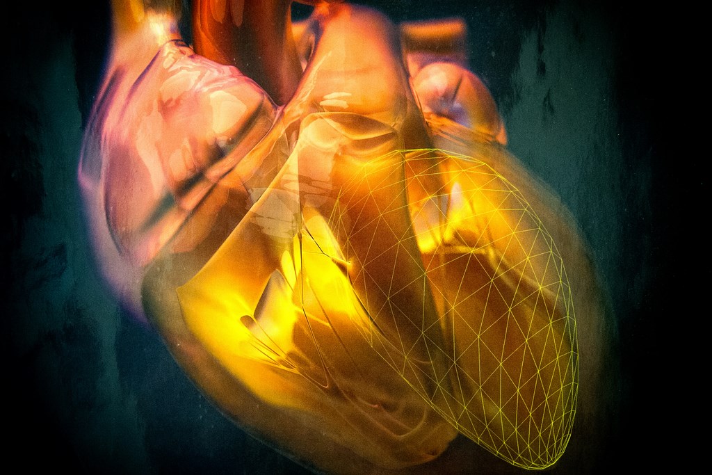 Cardiologa_1