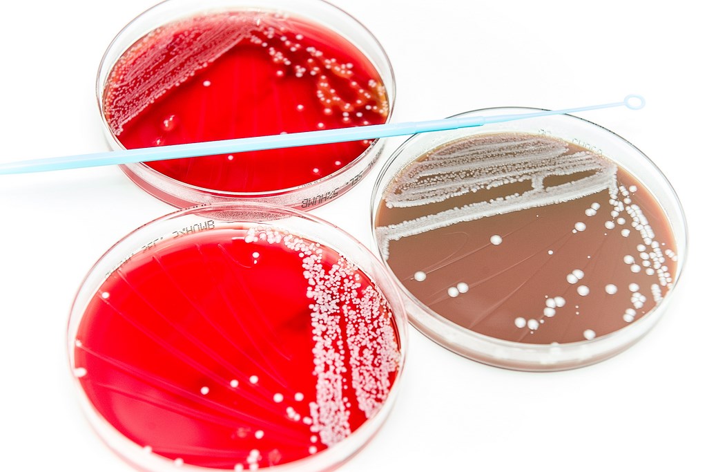 Microbiologa_1