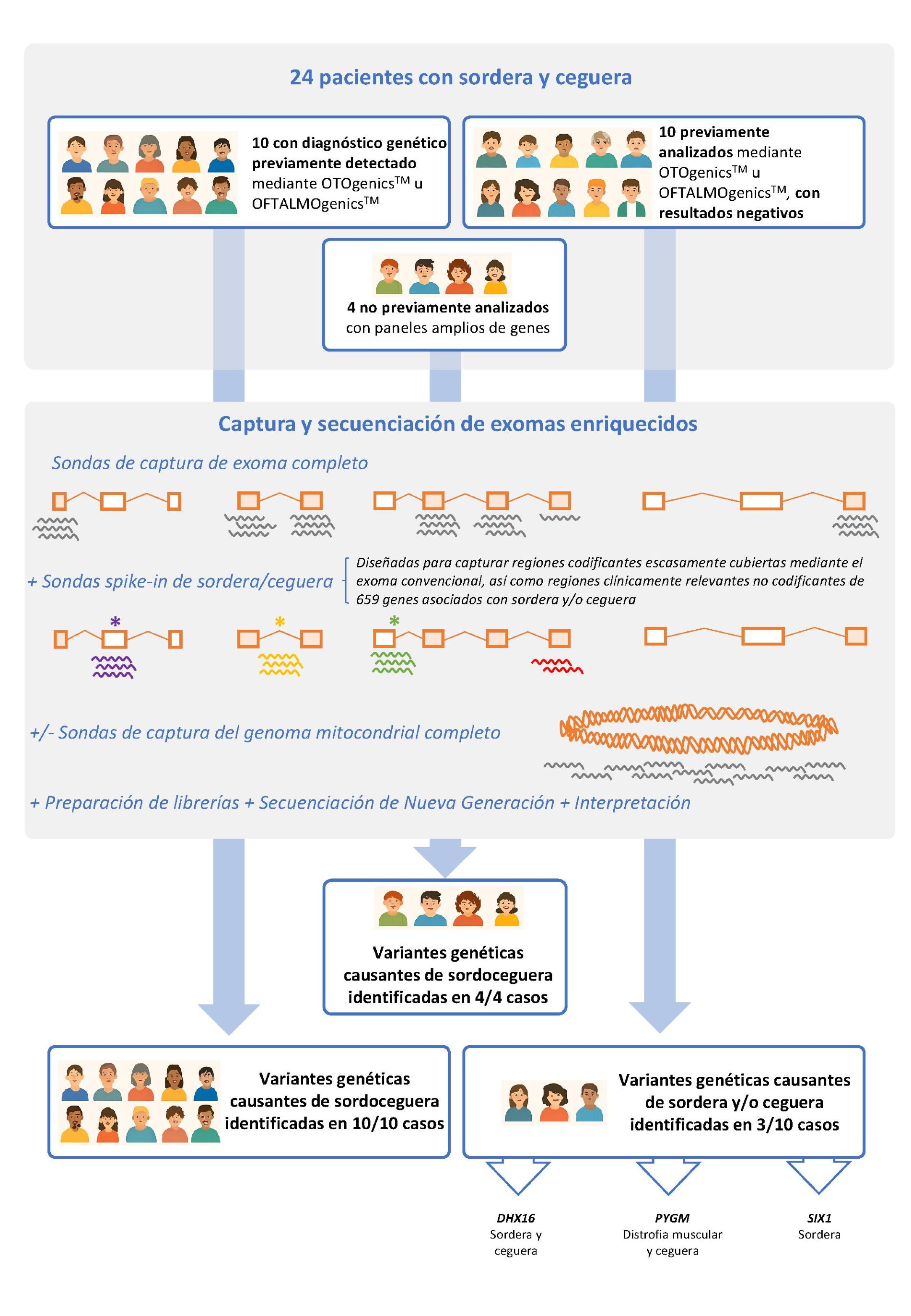 La Fundaci�n Centro M�dico de Asturias desarrolla un nuevo m�todo para el diagn�stico gen�tico de la sordoceguera